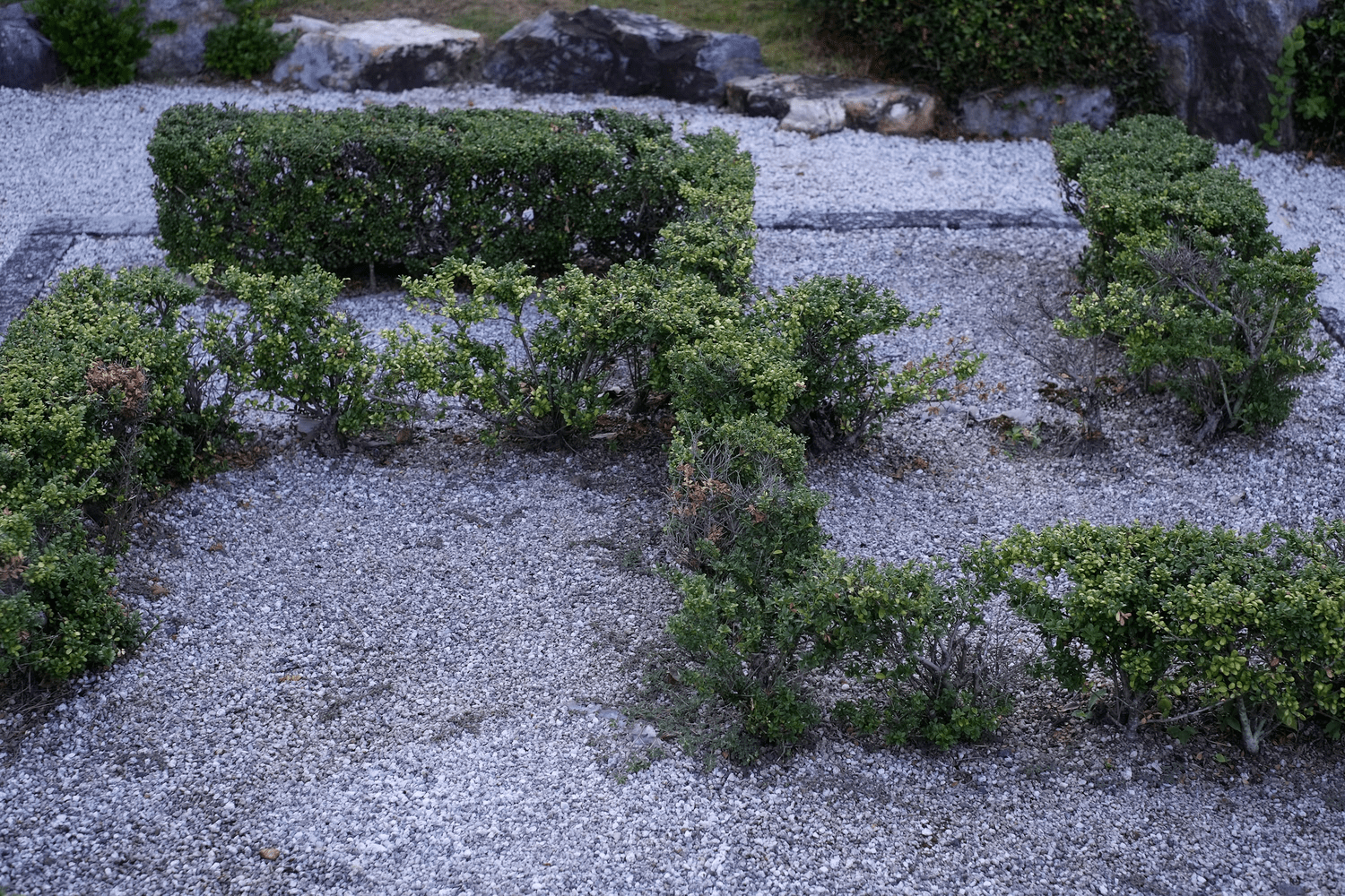 禅台寺を知る